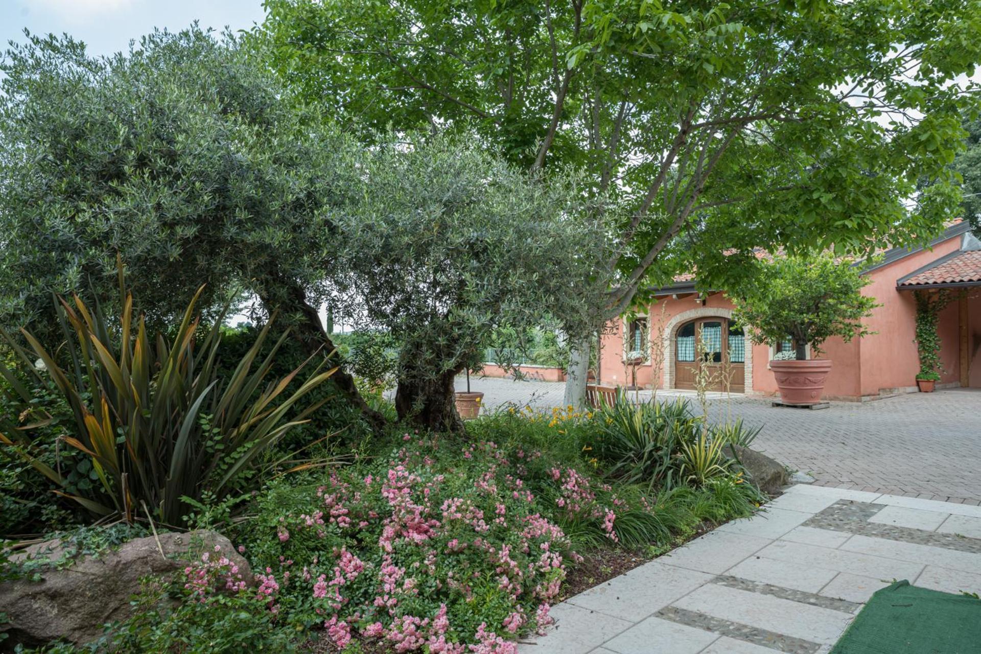 Agriturismo Corte Morandini Valeggio sul Mincio Exteriér fotografie