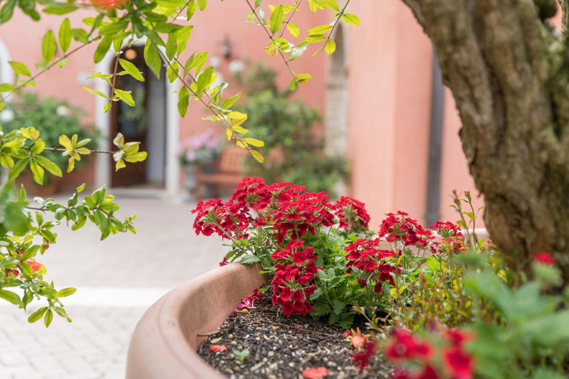Agriturismo Corte Morandini Valeggio sul Mincio Exteriér fotografie